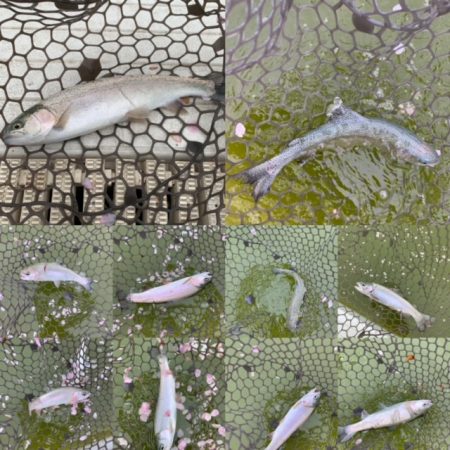 服部緑地　結構活性高い