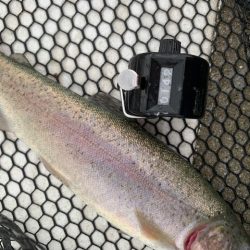 岸和田フィッシングパーク 3桁