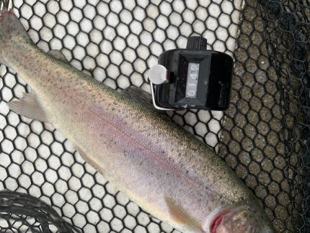 岸和田フィッシングパーク 3桁