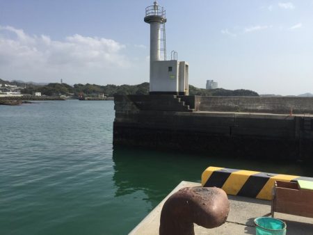 良型コノシロ10匹