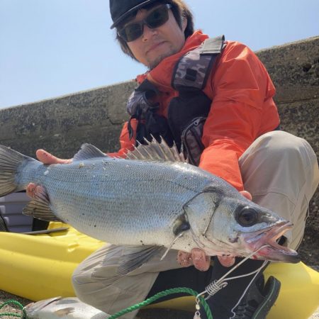 A.P.Pフィッシングガイドサービス　上五島　カヤックヒラスズキのポイントチェックへRIDEON！