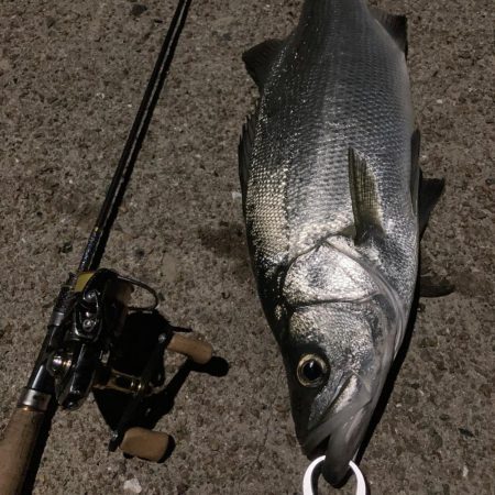 A.P.P フィッシングガイドサービス 夜釣りチェックへ!