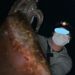 【２キロアップ】春イカエギングでアオリイカ