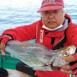 泉州丸　釣果