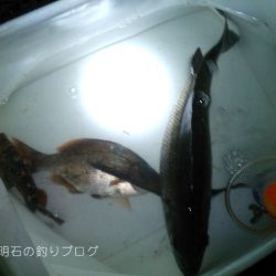 8ヶ月ぶりのご対面