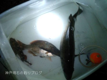 8ヶ月ぶりのご対面