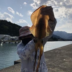 ヤエン 2キロアップ2杯