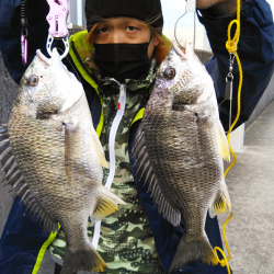 キビレのノッコミ？