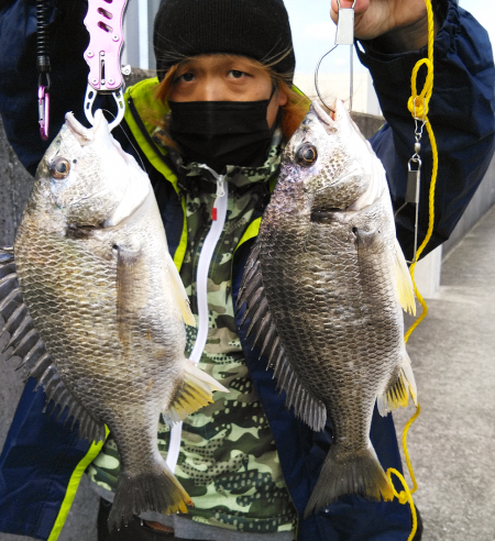 キビレのノッコミ？