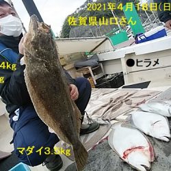 ４か月振りに釣行でヒラメ７kg