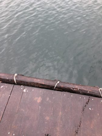 鳴門　ウチの海　イカダ