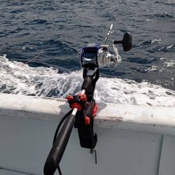 ほんまなんなん!