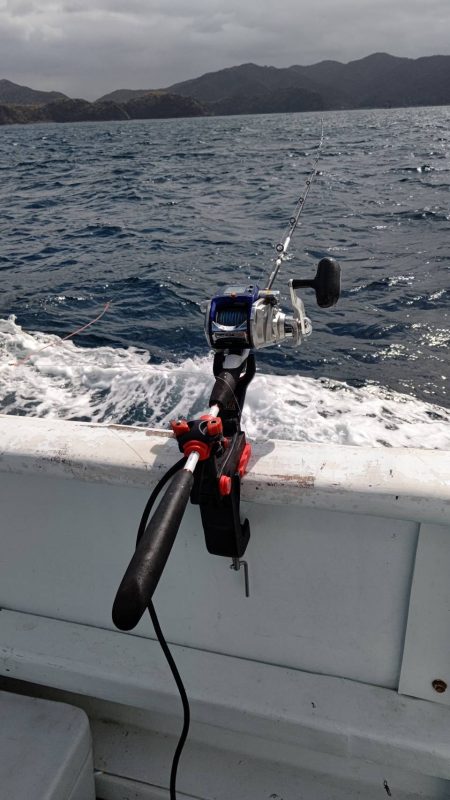 ほんまなんなん!