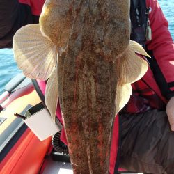 近海手漕ぎゴムボート