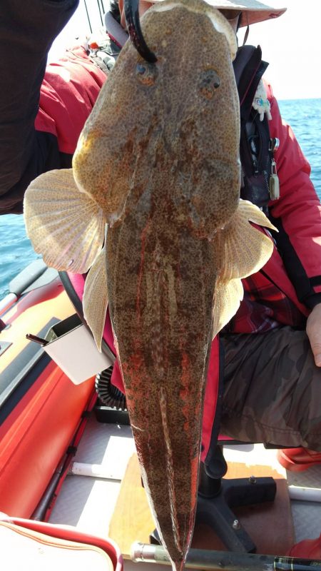 近海手漕ぎゴムボート