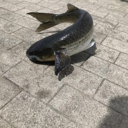 南港へ半年ぶりに来たもものの⁉️