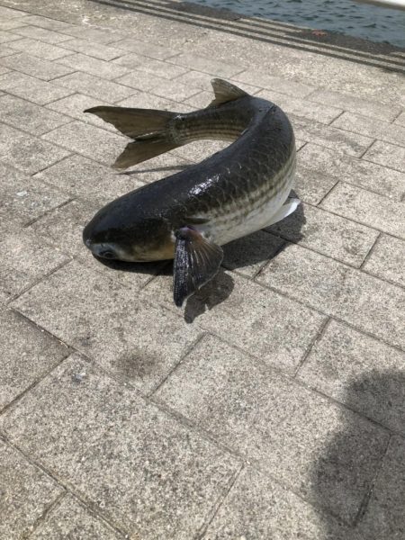 南港へ半年ぶりに来たもものの⁉️