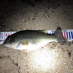 今年イチの型‼︎