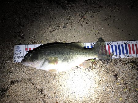 今年イチの型‼︎