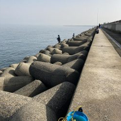 渋いながらも今年初の青物