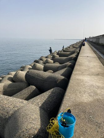 渋いながらも今年初の青物