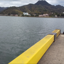 小潮コウイカ釣り