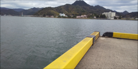 小潮コウイカ釣り