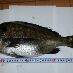 テトラ釣りに挑戦!!