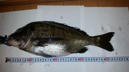 テトラ釣りに挑戦!!