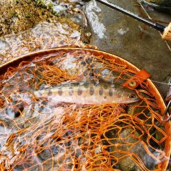 入るとこ無い( ノД`)…