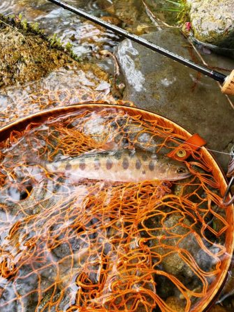 入るとこ無い( ノД`)…