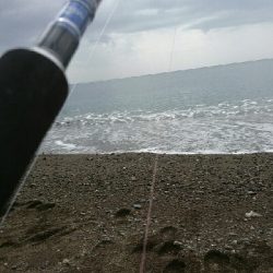 ワンチャンモノにした一発！