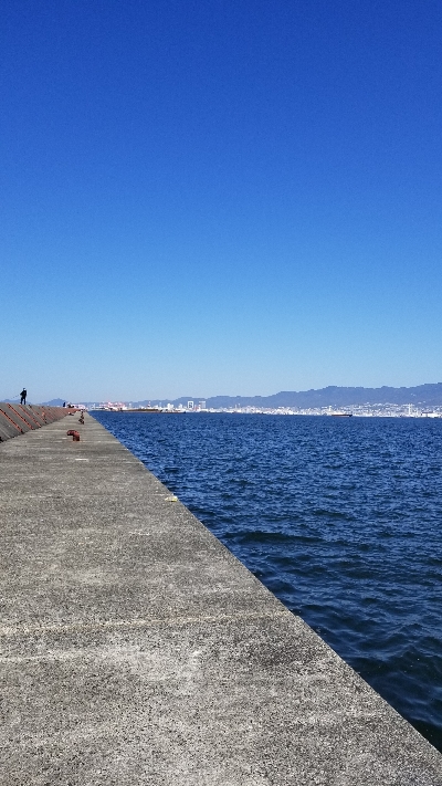 ガシラのみ　シーバスでず