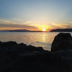 和歌山でメバリング