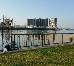 ランカー届かず