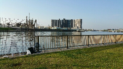 ランカー届かず