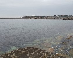 投げは不発。ひのでまえメバリングでお土産（笑）