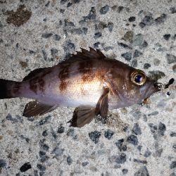 レクチャーパート２