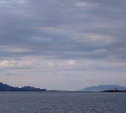 ロックフィッシュ