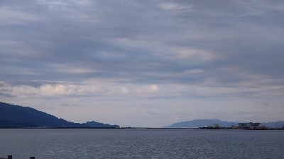 ロックフィッシュ