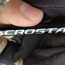 今年、３匹目！