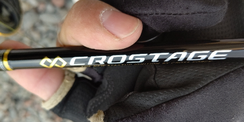 今年、３匹目！