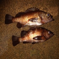 気持ちいい引き