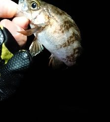 この時期、特有の。