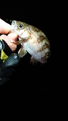 この時期、特有の。