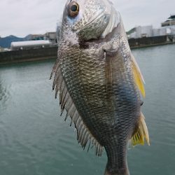初めての釣り場に。