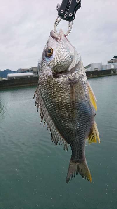 初めての釣り場に。