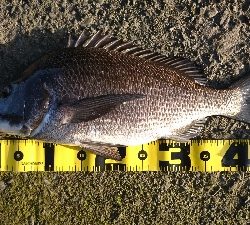 久しぶりに 朝早く