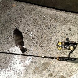 泣きながらかへる。