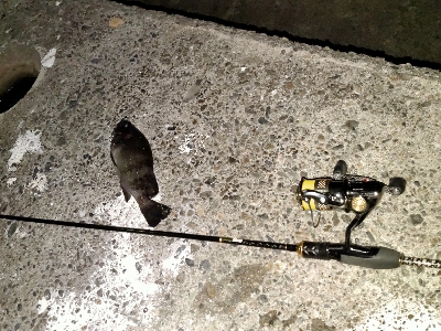 泣きながらかへる。